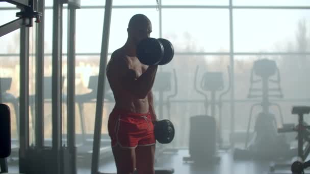 Un atleta En el fondo de una ventana con un hermoso cuerpo levanta pesas para entrenar sus bíceps en el gimnasio. Entrenamiento de fuerza para construir músculo. Entrenamiento duro y duro para manos fuertes . — Vídeos de Stock
