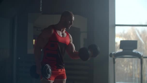 Un atleta levanta pesas para entrenar sus bíceps en el gimnasio. Entrenamiento de fuerza para construir músculo. Entrenamiento duro y duro para manos fuertes . — Vídeos de Stock