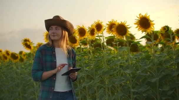 Jong meisje met een tablet op een zonnebloemenveld in zonnige avond — Stockvideo