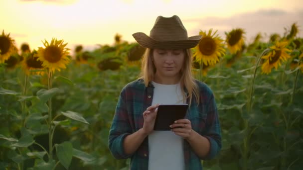 Junge Studentin auf dem Feld mit gelben Sonnenblumen — Stockvideo