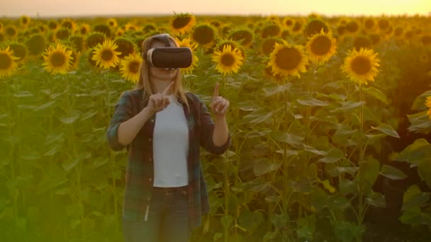 A mulher está trabalhando em óculos VR na natureza ao pôr do sol — Vídeo de Stock