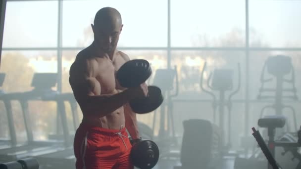 En stark stilig man lyfter hantlar som håller dem i händerna och utför bicepsövningar stående vid ett stort fönster i Gym modern. Snyggt gym för träning — Stockvideo