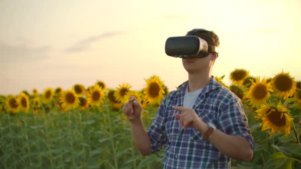 Человек в очках дополненной реальности на поле подсолнухов — стоковое видео