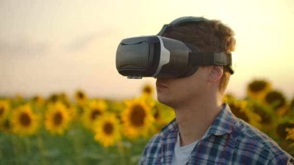 De man met de verrekijker op het zonnebloemveld. — Stockvideo