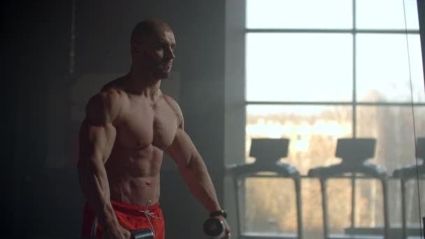 Strong purposeful male bodybuilder sport athlete lifting dumbbells holding in hands for training shoulders and back. Perform exercises to train your back on the background of the window — Stock Video