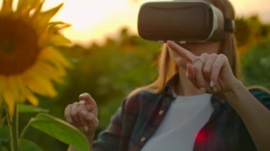 Kadın ayçiçeği tarlasında VR gözlükleri kullanıyor.