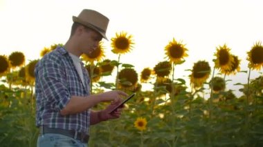 Yazın ayçiçeği tarlasında tabletli genç bir çocuk.