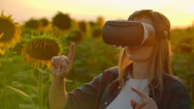Kadın gün batımında büyük ayçiçekleri arasında VR bardaklarında çalışıyor.