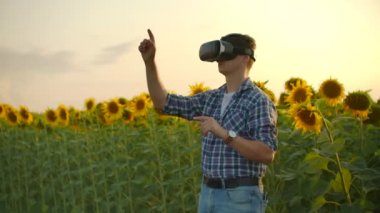 Ayçiçeği tarlası modelliği için VR gözlükleri