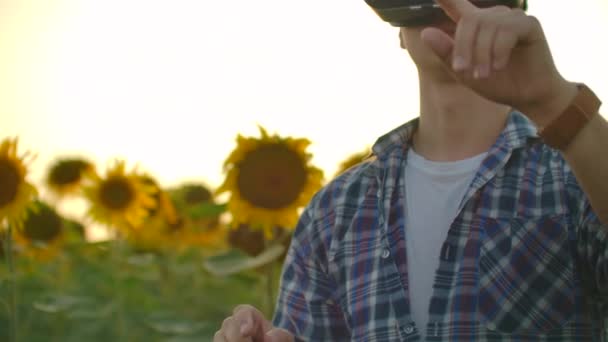 De student werkt in Vr glazen tussen de zonnebloemen — Stockvideo