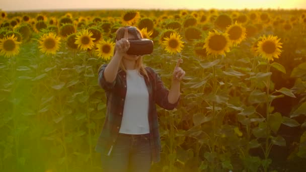 Das Mädchen arbeitet in vr Brille in der Natur bei Sonnenuntergang — Stockvideo