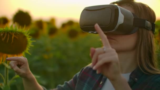 Het meisje gebruikt Vr glazen op het zonnebloemenveld — Stockvideo