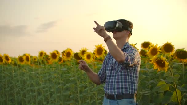 VR óculos para modelar girassóis campo na natureza — Vídeo de Stock