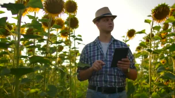 カメラは男の農夫を追跡し、タブレットで動かす。農家は、タブレットでカメラの前に行き、彼の中小企業のための近代的な技術を使用しています — ストック動画