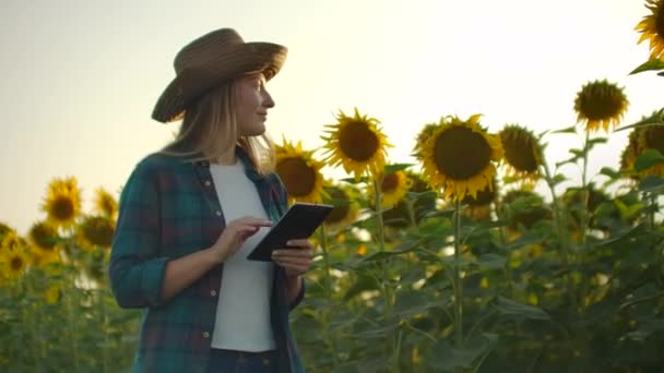 A câmera segue e move uma agricultora com um tablet. O fazendeiro vai na frente da câmera com um tablet e usa a tecnologia moderna para sua pequena empresa . — Vídeo de Stock