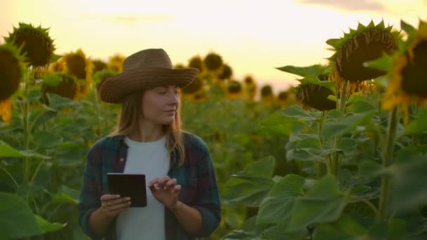Vrouwelijke student op het veld met gele zonnebloemen — Stockvideo
