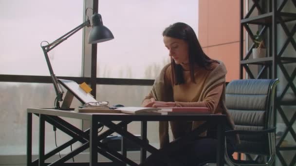 Een vrouwelijke grafisch ontwerper werkt in een kantoor met grote ramen en schildert met behulp van een stylus en een computer touch screen. Werkstation met touchscreen voor ontwerpers. — Stockvideo