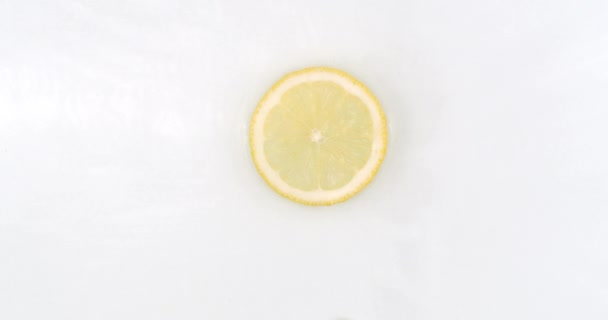 Βρύσες με νερό αργής κίνησης σε μια φέτα λεμόνι ξαπλωμένες σε λευκό φόντο στο νερό. — Αρχείο Βίντεο