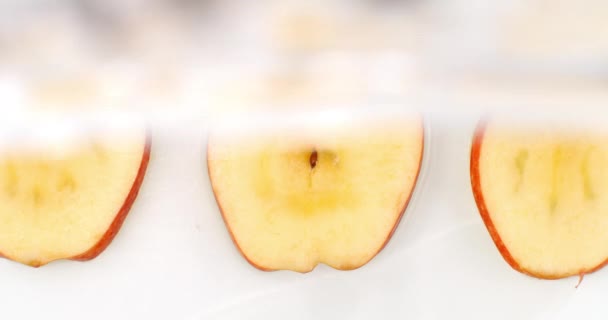 Zeitlupe eines Wasserspritzers auf drei Scheiben eines roten Apfels, der auf weißem Hintergrund im Wasser liegt. — Stockvideo