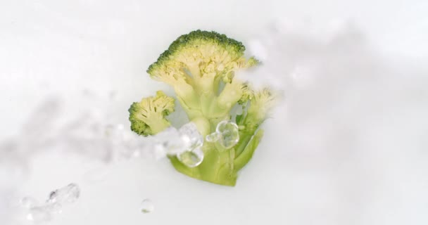 Al rallentatore, spruzzi d'acqua versano acqua su un broccolo su fondo bianco. Vegetariani e Fruttori — Video Stock