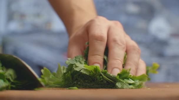 Close-up de salsa de corte em uma placa na cozinha com uma faca . — Vídeo de Stock