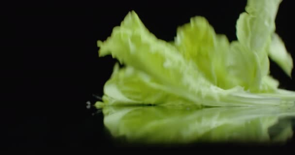 I slow motion faller blad av färsk grönsallad med stänk av vatten. — Stockvideo