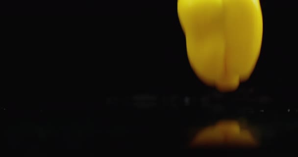 Один желтый перец колокольчика падает на стекло с брызгами воды в замедленной съемке на темном фоне . — стоковое видео