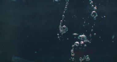 A red tomato falls into the water and flies under the water with bubbles