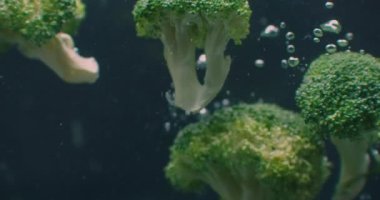 broccoli Underwater with air bubbles and in slow motion. Fresh and juicy healthy vegetarian.