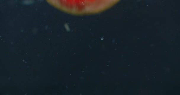 Грейпфрут под водой с пузырьками воздуха и в замедленной съемке. Свежий и сочный здоровый вегетарианец . — стоковое видео