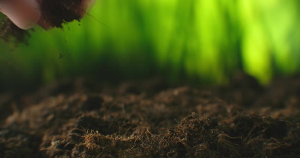 Uma macro close-up de uma planta cultivada de sementes verde plantada no chão por mãos. Fazendeiro planta uma plântula com as mãos. Plante árvores no planeta. Salvando o planeta e o meio ambiente — Vídeo de Stock