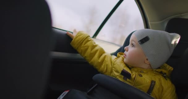 Rapaz a olhar pela janela do carro. Viagem com a família. Menino olhando para fora da janela carro condução viagens rodoviárias. Tiro médio de menino adorável criança sentado no assento do carro em movimento e olhando para fora da janela — Vídeo de Stock