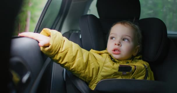 A kisfiú autóval utazik. Két éves, fehér fiú, kinézett az ablakon. Egy kétéves kaukázusi fiú egy biztonsági öv ül a kocsijában, és kinéz egy mozgó jármű ablakán.. — Stock videók