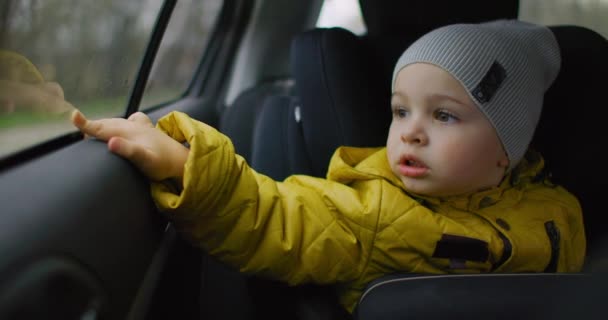 Kleiner Junge auf Autofahrt. 2-jähriger kaukasischer Junge schaut aus dem Autofenster. Ein zweijähriger kaukasischer Junge mit Sicherheitsgurt sitzt auf seinem Autositz und blickt aus dem Fenster eines fahrenden Fahrzeugs. — Stockvideo