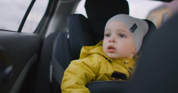 Chłopak spogląda przez okno samochodu. Wycieczka z rodziną. Chłopiec wyglądający przez okno, jeżdżący po drogach. Średni strzał uroczego chłopca siedzącego w foteliku samochodowym jadącego samochodu i wyglądającego przez okno — Wideo stockowe