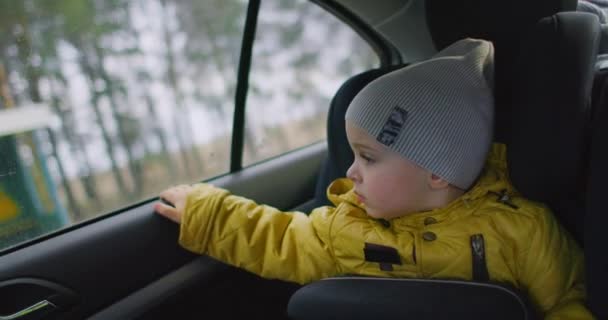 A kisfiú autóval utazik. Két éves, fehér fiú, kinézett az ablakon. Egy kétéves kaukázusi fiú egy biztonsági öv ül a kocsijában, és kinéz egy mozgó jármű ablakán.. — Stock videók