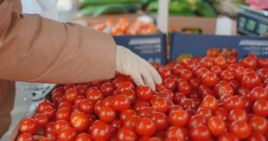 Yakın plan: Eldivenli bir kadın karantina modunda marketten domates alıyor. Coronavirus sebze ve meyve alıyor. Bir salgın sırasında ürün alımı.
