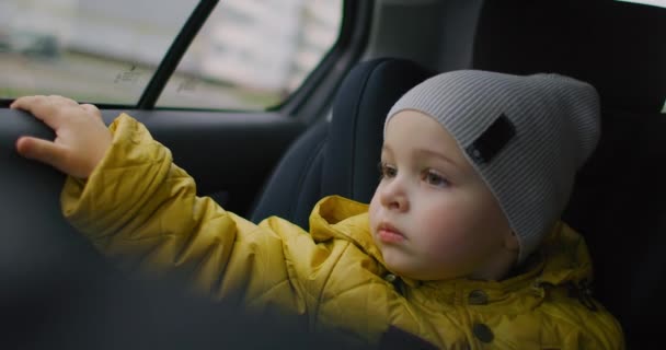 車で旅行する少年。車の窓から外を見る2歳の白人少年。2歳の白人少年が車椅子に座り、移動中の車の窓の外を見る. — ストック動画