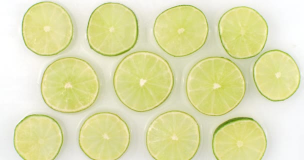 Sur fond blanc, des tranches de citron vert sont saupoudrées d'eau. lime fraîche juteuse au ralenti. Beaucoup de tranches de citron vert — Video