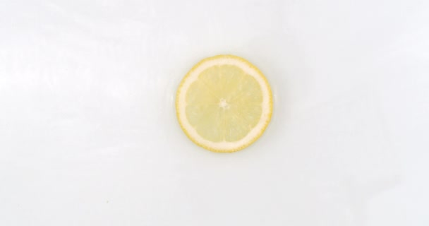 Op een witte achtergrond, een plons water valt op een schijfje citroen in slow motion — Stockvideo