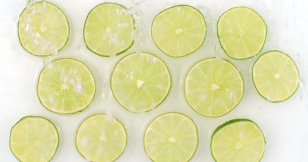 Sur fond blanc, des tranches de citron vert sont saupoudrées d'eau. lime fraîche juteuse au ralenti. Beaucoup de tranches de citron vert — Video