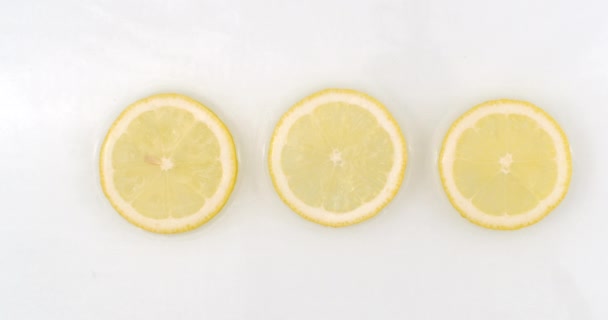 Op een witte achtergrond, een plons water valt op drie schijfjes citroen in slow motion — Stockvideo