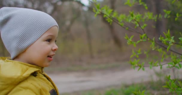 Ormanı keşfeden anaokulu öğrencileri. Bebek yürümekten mutlu. Doğadaki küçük bebek. 2 yaşında sarı ceketli bir çocuk ormanı ve otları araştırıyor. Genç araştırmacı. Yavaş çekim — Stok video