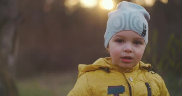 Portret van een 2-jarige jongen die naar de camera kijkt — Stockvideo