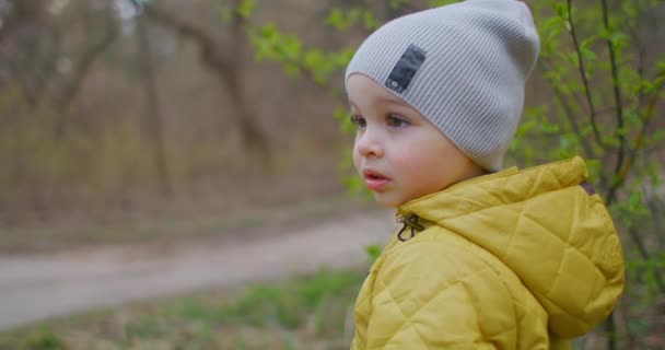 Son Exploration de la forêt sur le sentier de randonnée. Un petit garçon dans la forêt de la nature. Concepts d'aventure, de scoutisme et de tourisme de randonnée pour les enfants. Petit enfant mignon ayant une émotion positive sur la nature verte .