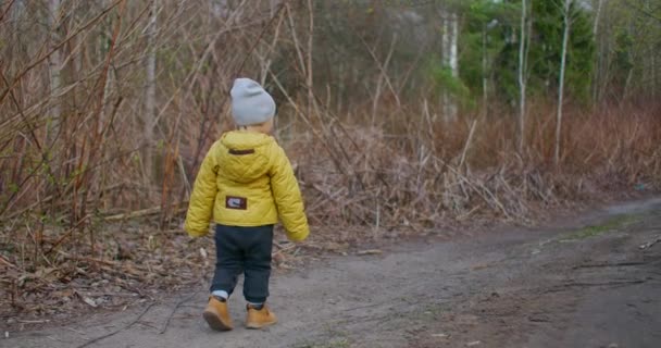 Fiú felfedező erdő túraútvonalon. Egy kisfiú a természetközeli erdőben. Fogalom a kaland, felderítés és túrázás turizmus gyerekeknek. Kis aranyos gyermek pozitív érzelmek a zöld természet. — Stock videók