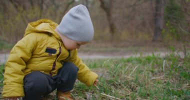 Ormanı keşfeden anaokulu öğrencileri. Bebek yürümekten mutlu. Doğadaki küçük bebek. 2 yaşında sarı ceketli bir çocuk ormanı ve otları araştırıyor. Genç araştırmacı. Yavaş çekim