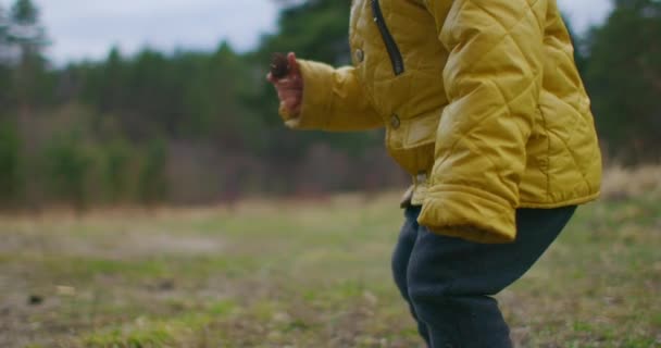 Förskolebarn som utforskar skogen. Pojken är glad att kunna gå. En liten pojke i naturen. 2-årig pojke i gul jacka studerar och utforskar skog och gräs. Ung forskare. Långsamma rörelser — Stockvideo