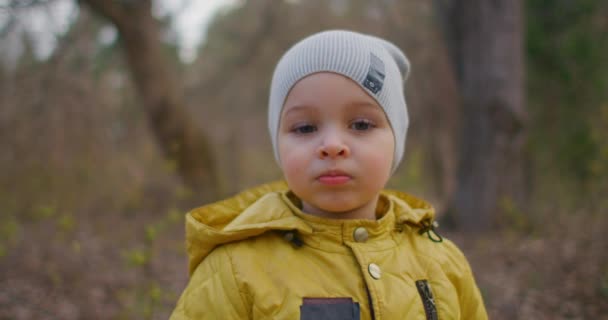 Un niño de 2 años en el bosque mira a la cámara. Encantador chico lindo con pestañas grandes. Un niño con una chaqueta y un sombrero amarillos — Vídeos de Stock