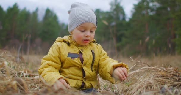 Przedszkolaki badające las. Chłopiec szczęśliwy z chodzenia. Mały chłopiec w naturze. 2-letni chłopiec w żółtej kurtce studiuje i bada las i trawę. Młody badacz. Zwolniony ruch — Wideo stockowe
